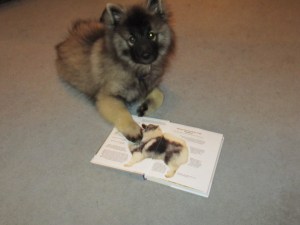 This is what I want to be when I grow up!