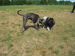 Hi!   Who, or should I say, what, are you?