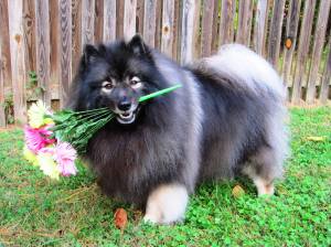 Clancy holding flowers