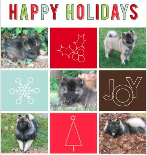 Clancy holiday card