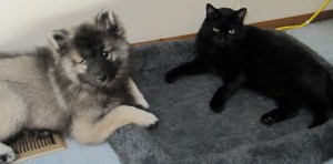 Young Clancy with his best feline friend, "Mr. D".