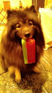 Clancy tied for 1st place in Rally Advanced, however we had the slower time so we took the 2nd place honors.