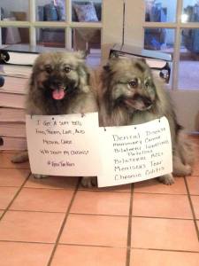 Survivors of Marjorie's Puppy Mill still dealing with a variety of health problems