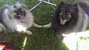 Clancy holding paws with Christian, a lucky 