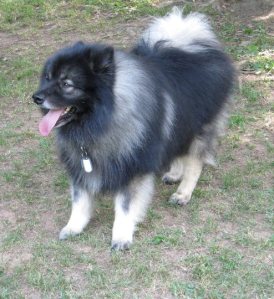 Clancy ended up looking a lot like his dad, "Kyler", which is exactly what I was hoping for.