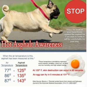 dogs-hot-asphalt-chart