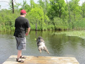 Clancy loves jumping off docks for fun!  Try it yourself at the amazing 24 acre Orion Oaks Dog Park in Lake Orion, Michigan, which offers a large dock with ramps into a lake for the dogs.