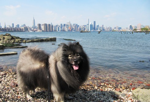 Clancy in the Big Apple! Clancy traveled to New York City for the day.