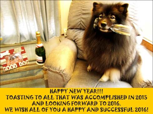 CLANCY 2016 NEW YEAR WISH