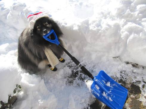 Clancy snow shovel 1