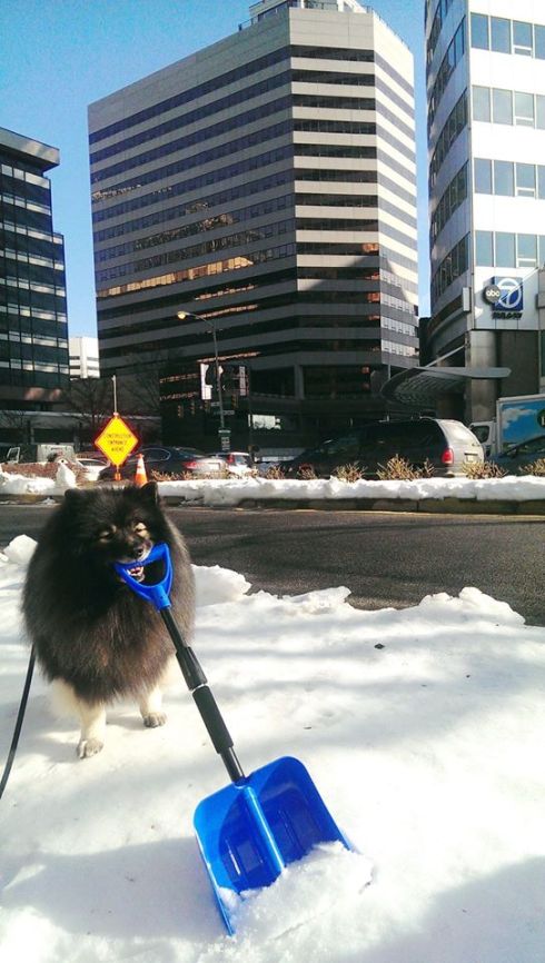 Clancy in front wjla