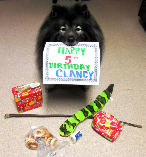 Clancy 5th Birthday 2