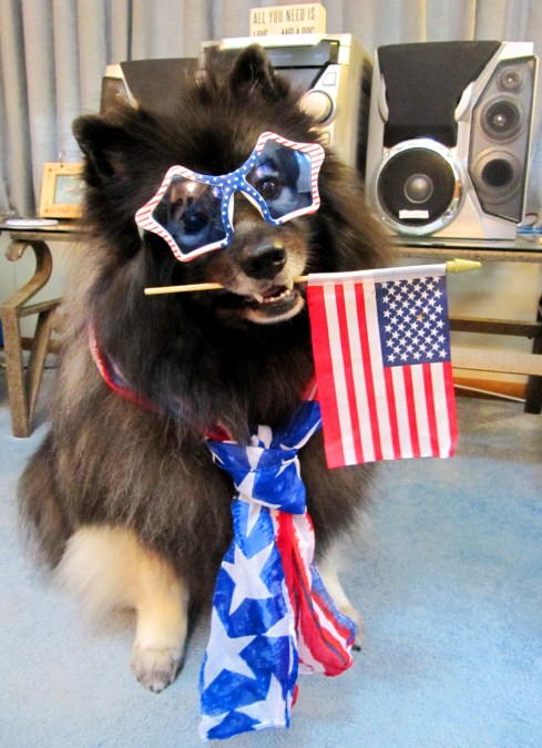 Clancy 4th of July 1.jpg