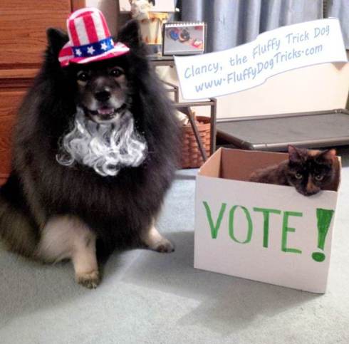 clancy-pepper-vote-with-logo