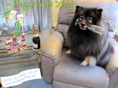 clancy-happy-new-year-for-fb