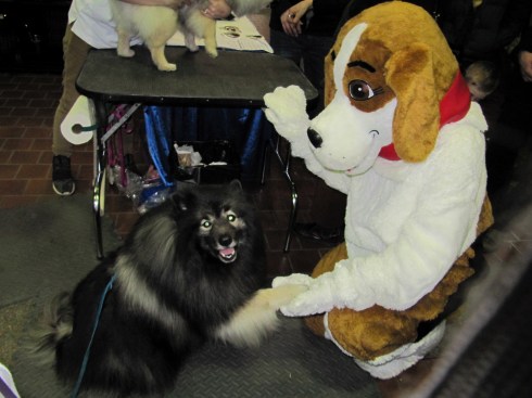 clancy-shaking-paws-with-mascot